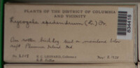 Image Associated With the Occurence